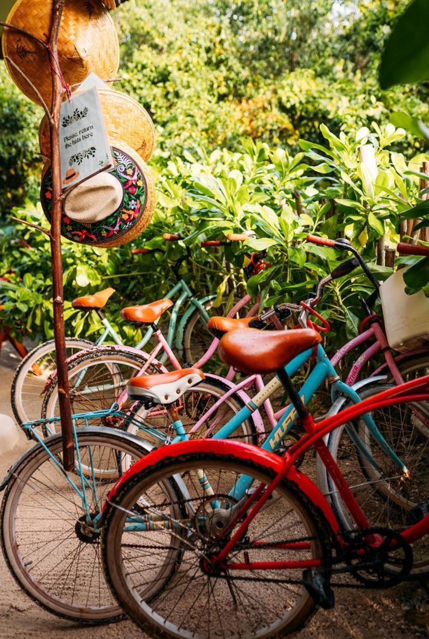 Casa Noma-Noma Holbox Acomodação com café da manhã Exterior foto